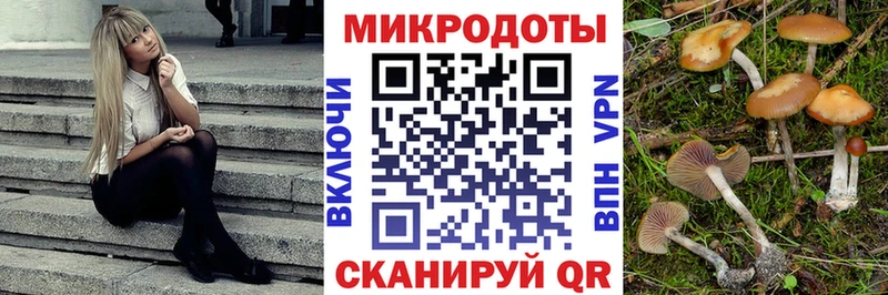 дарк нет Telegram  Армянск  Псилоцибиновые грибы мицелий 